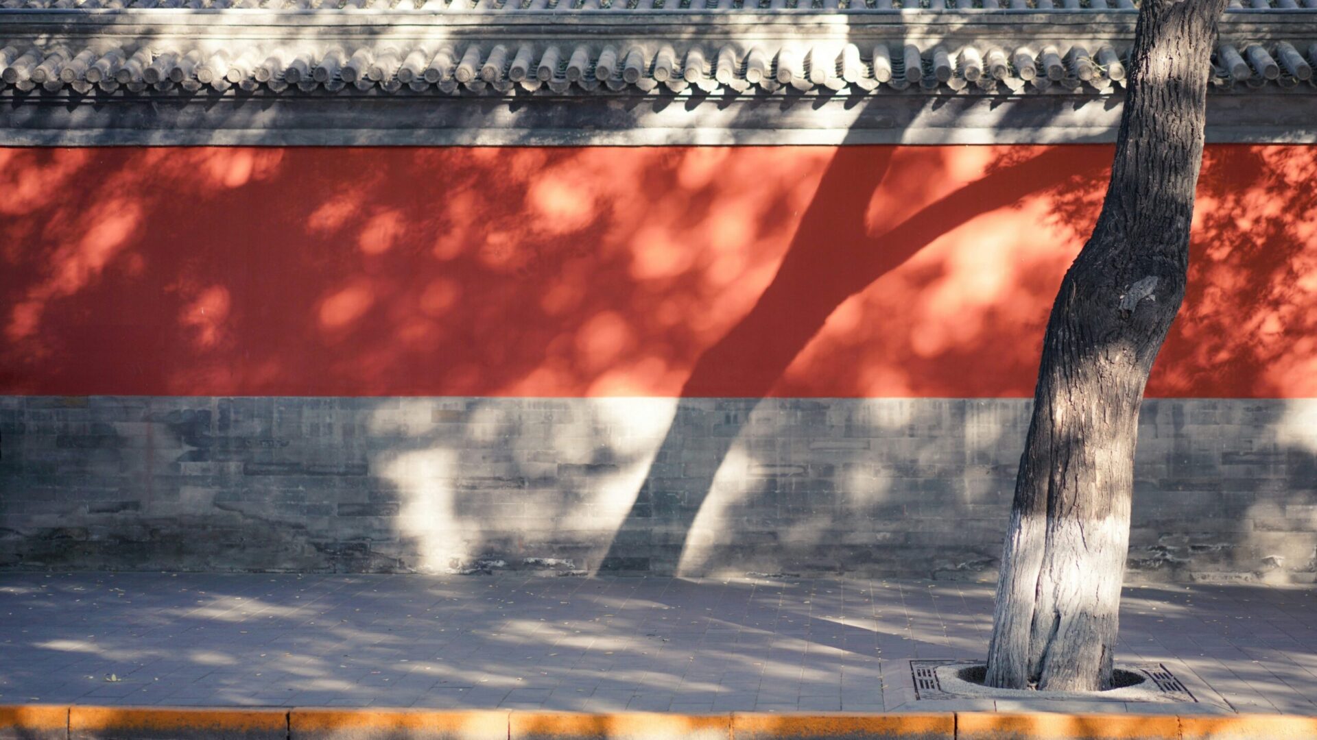weichao-deng-0q79zbdZuMg-unsplash